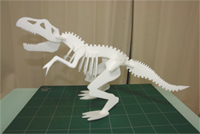 恐竜コレクション　No.1：エコプロ’06特別企画（陸竜：ティラノザウルス）写真004