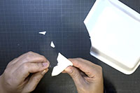 最強力士を作ろう！PSPトントン相撲